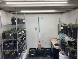 BBLF - Inside Propagation House