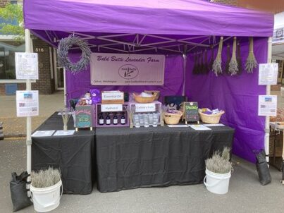 BBLFS - Farmers Market Canopy