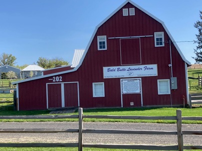 BBLF - Red Barn