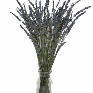 Dried Lavender Bundle