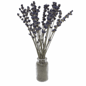 lavender-mini-bouquets