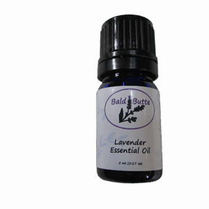 lavender-essential-oils